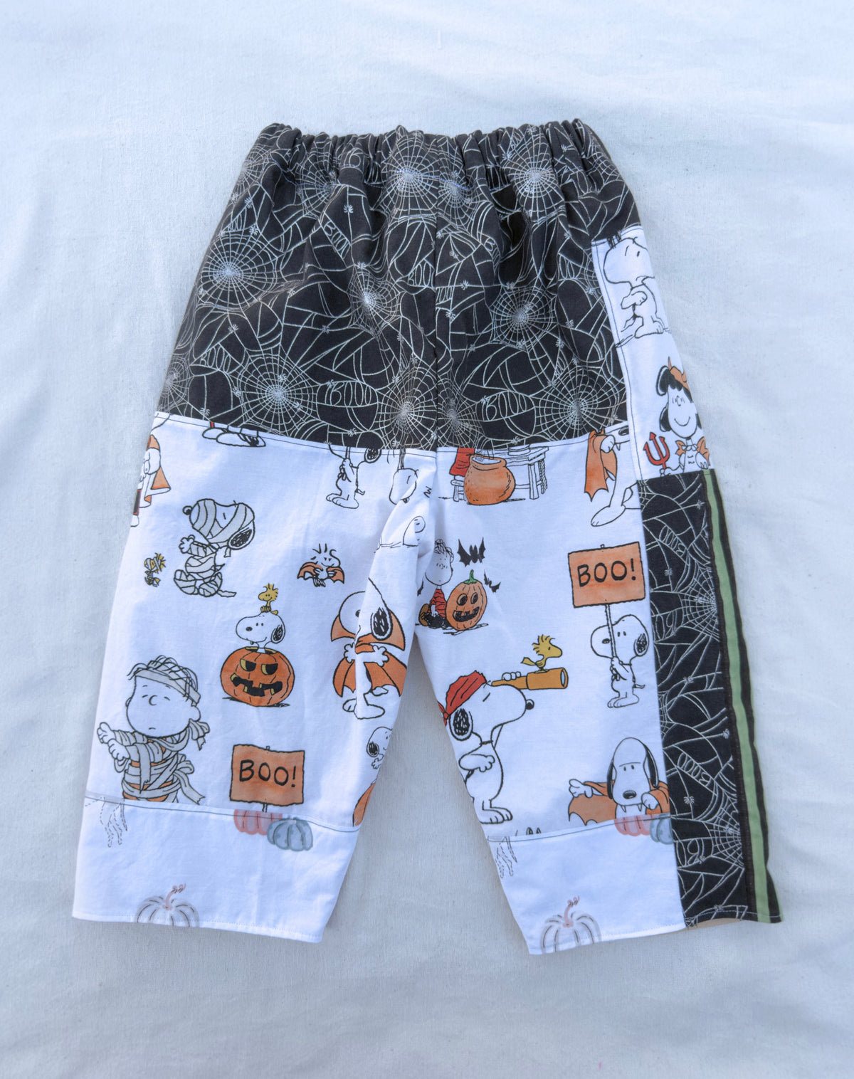 Snoopy’s Spider Hollow